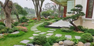thiết kế sân vườn