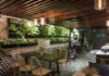 Chiêm ngưỡng những mẫu thiết kế quán cafe cây xanh thoáng mát mẻ