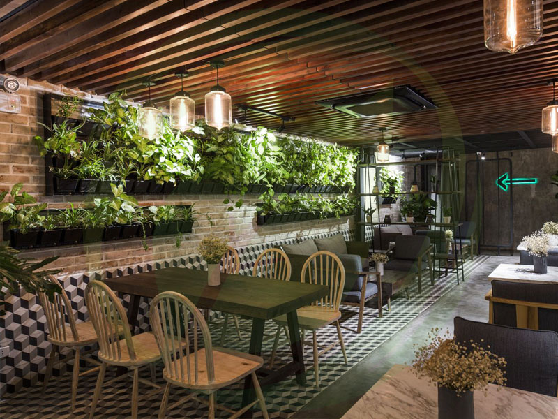 Chiêm ngưỡng những mẫu thiết kế quán cafe cây xanh thoáng mát mẻ 