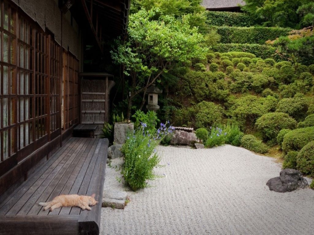 Thiết kế sân vườn theo phong cách Nhật Bản - Mang lại không gian yên bình 