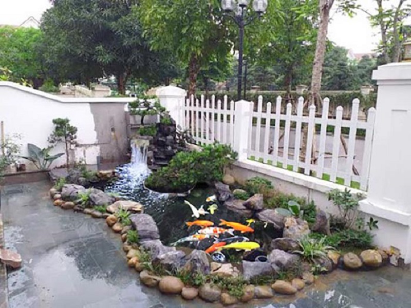 Thiết kế sân vườn hồ cá Koi đẹp
