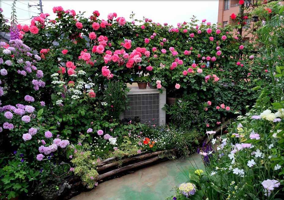 Thiết kế vườn hoa trên sân thượng đẹp nhiều người yêu thích hiện nay